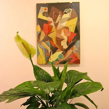 Guest house Lo Rome